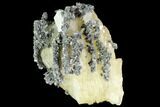 Marcasite On Bladed Barite - Morocco #84861-1